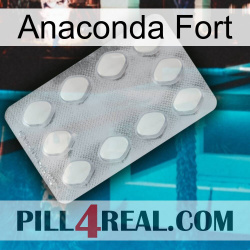 Anaconda Strong